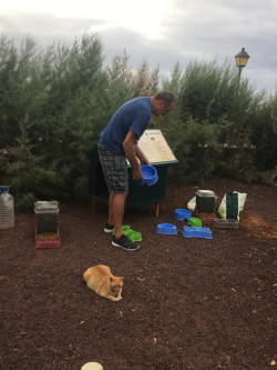 Volunteer Feeder and Treat Time